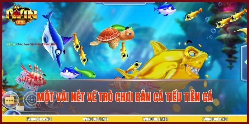 Khái quát về game bắn cá tiểu tiên cá