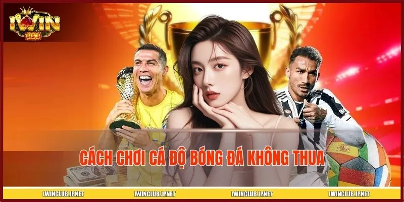 Cách Chơi Cá Độ Bóng Đá Không Thua Độc Quyền Từ Cao Thủ IWIN
