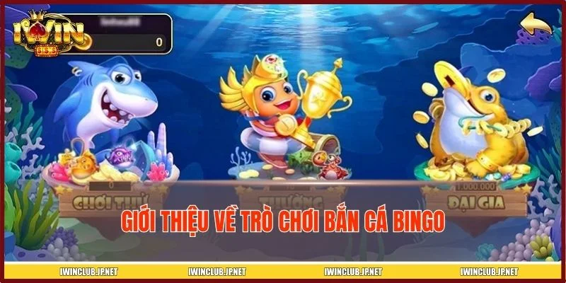 Một vài nét cơ bản về trò chơi bắn cá Bingo 