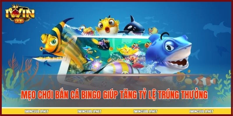 Mẹo chơi bắn cá Bingo tích xu khủng mỗi ngày